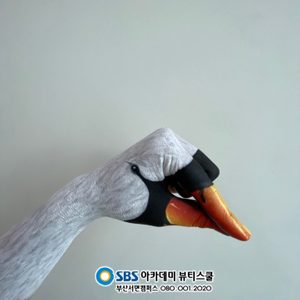메이크업 관심있다면? 미용 전문학원에서 분장, 무대메이크업, 자격증까지 준비해요 ❤️