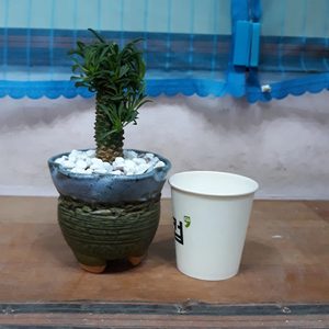 괴마옥 괴마옥 높이만 10센치 입니다 아가들도 많이 달려 있어요