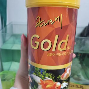 금붕어밥 금붕어사료