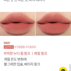 포렌코즈 벨벳틴트 23호 러디 , 포렌코즈 립크레용 03호 글램코랄 립스틱 화장품