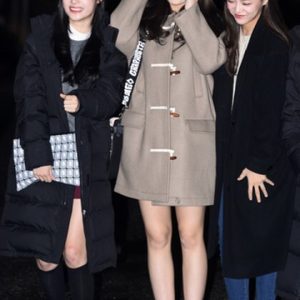 얼마전 드라이한 Lap 전소미 태연 김고은 떡볶이 코트