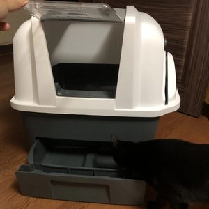고양이반 자동 화장실