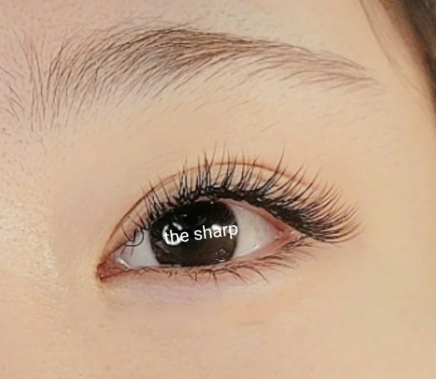 더샵끌림