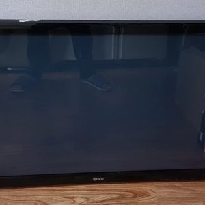 TV 42인치 벽걸이형 LG 42PJ250