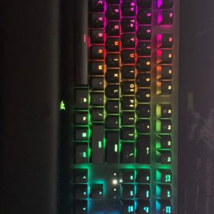 RAZER 블랙위도우 엘리트(한글자판) 그린축(청축) 키보드 팝니다.
