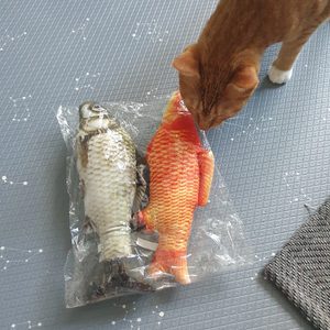 고양이 물고기장난감 물고기쿠션
