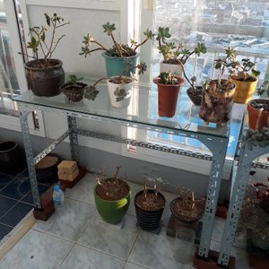 화분다이 팝니다(다이, 화분, 화분다이, 받침대, 화분받침대)