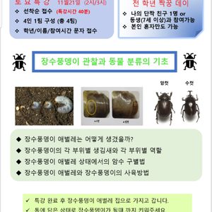 토요특강(장수풍뎅이 애벌레)