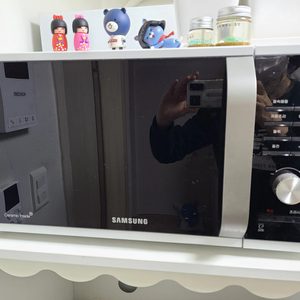 전자렌지 팝니다