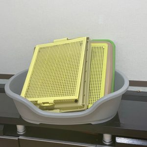 애견용품 커피한잔이랑 바꿔요! 강아지계단 강아지울타리 강아지배변패드 강아지집 강아지하우스