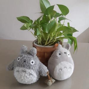 토토로 동전지갑 + 토토로 인형 일괄