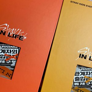 스트레이키즈 인생 개봉앨범판매