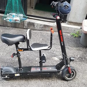 레드윙블랙킥보드 36V8인치