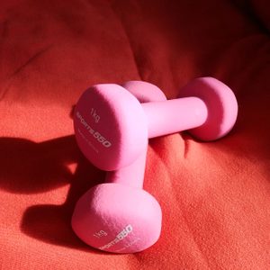 1kg 덤벨/아령, 미니 다이어트용 덤벨, 여성 홈트 운동기구