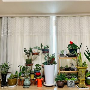 화분일괄 / 화분모음 다드립니다^^ 예쁜화분 좋은화분 비싼화분 화분거치대