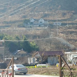 완주군 상관면 편백나무 숲 전원주택 단지 전원주택 매매합니다.