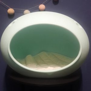 강아지집/고양이집/숨숨집