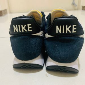 테일윈드 79