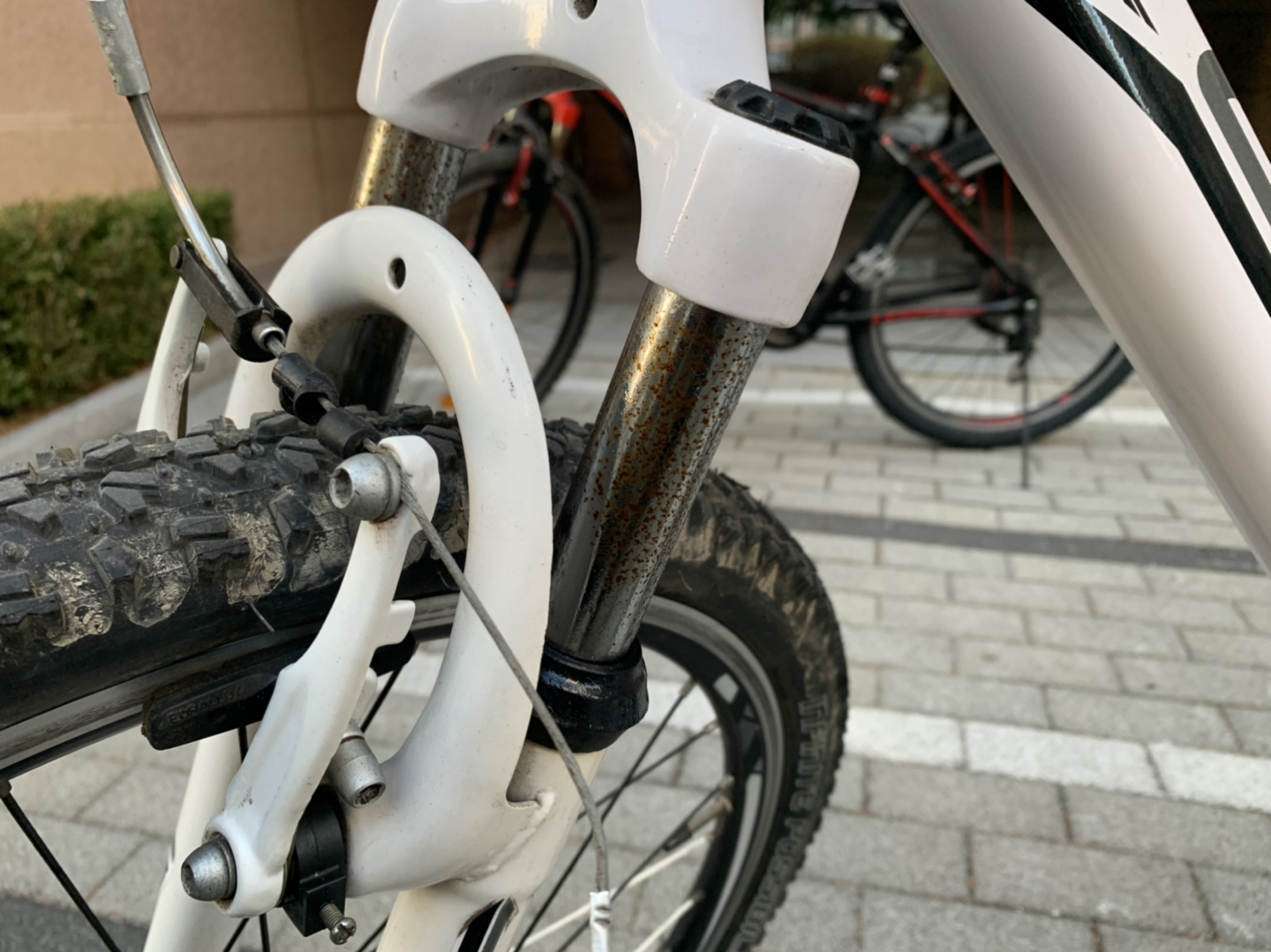 자전거 스팅거 100