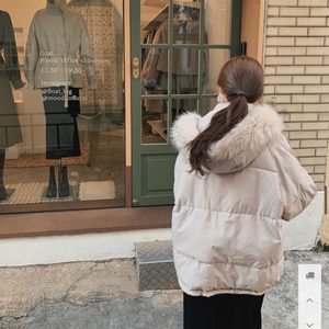 숏패딩 (제니베리 도니후드 숏패딩)