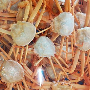 산지직송 포항구룡포 연지홍게(홍게맛중 최고)팝니다.