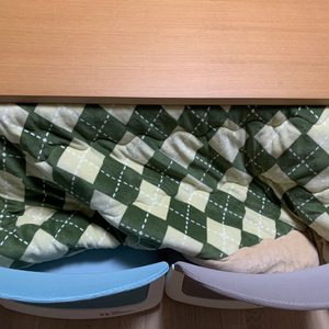 코타츠, 코타츠 이불과 시디즈 좌식의자 2개