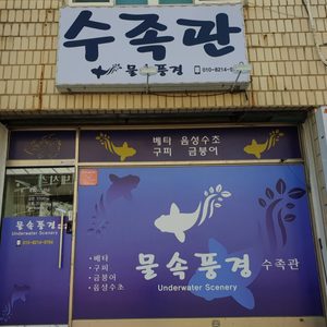 물속풍경 수족관입니다.