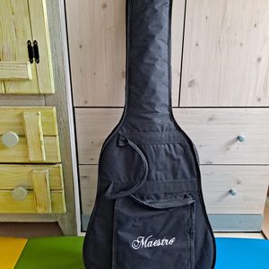 기타와 기타줄