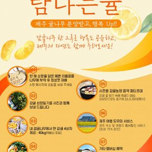 🍊제 귤나무를 분양받을수 있다고요? 👀
제주도에 나만의 귤나무에서 귤 ⭐️40kg⭐️ 무료배송 받으세요!
