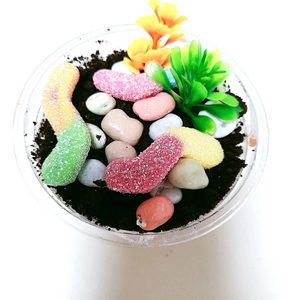 화분컵케익 티라미슈 컵케익