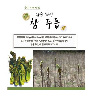 완주군화산에서 키운 참두릅