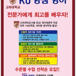 고려대 본교 영어공부방/과외