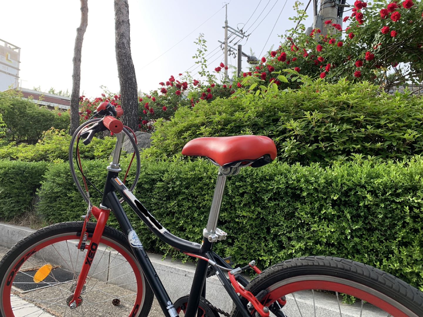 자전거 가지고 서울에서 부산