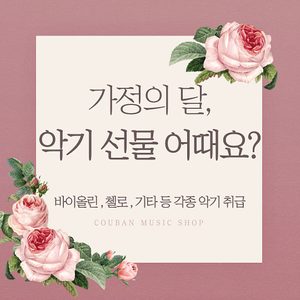 바이올린 첼로 각종악기 최대할인!