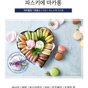 프랑스 파스키에 프리미엄 마카롱 12입