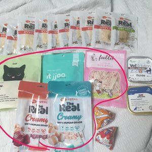 반려동물 먹을거리