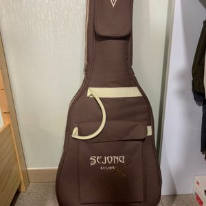 SE JONG (수제기타 고급브랜드) 기타 팔아요!