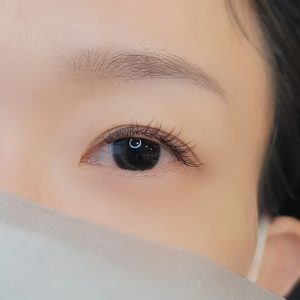 속눈썹 연장 연습 모델 해주실 분 🥰