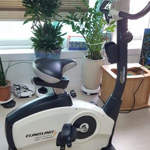 은성헬스 실내싸이클 SP-7300