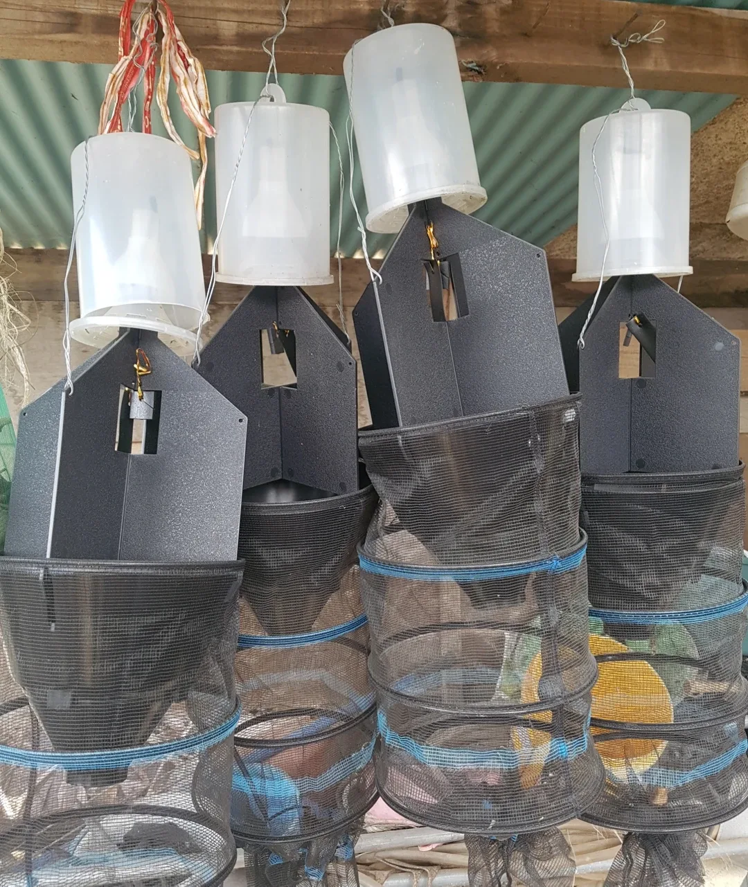 노린재 유인트랩 필요하신분