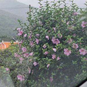 청소는뭐든다해드려요,, 가정집 입주 이사청소 깔끔하게해드림니다