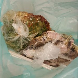 매운탕(광고 아닌데 ㅜㅜ