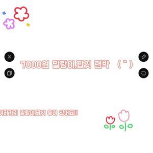 말랑이 랜덤박스