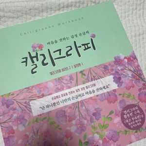 캘리그라피 도서 두 권