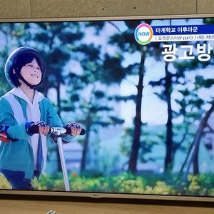 60인치티비판매