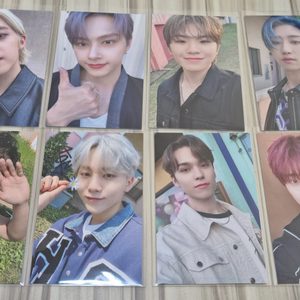 세븐틴 유어초이스 공방포카 양도