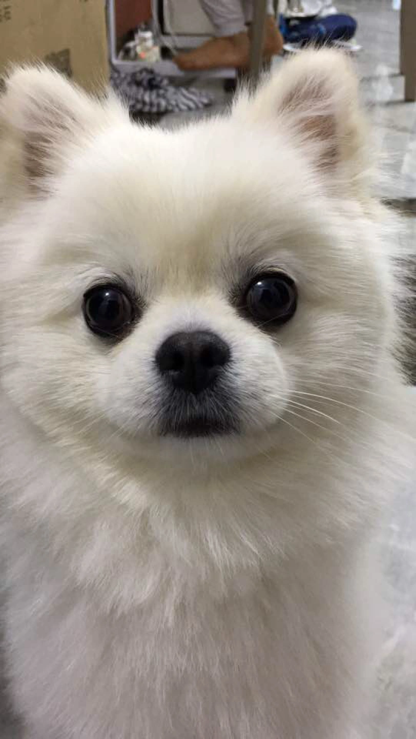 안강 에덴아파트13평 집실내 청소해주실분 구해요