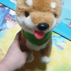 리얼펫 메롱쿠키