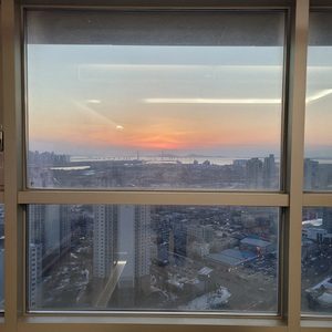 고1여학생 영어과외선생님 구합니다