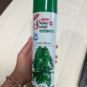 잎광택제